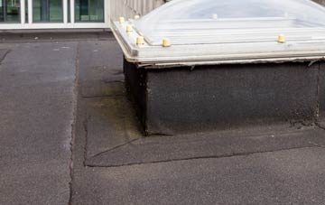 disadvantages of Thorpe Row flat roofs