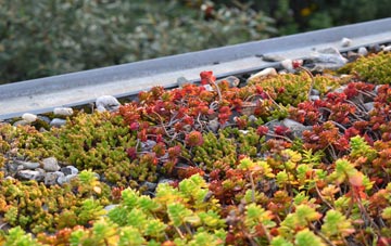 the cost of Thorpe Row green roof installation