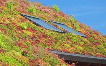 Thorpe Row living roof systems