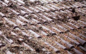 Thorpe Row roof cleaning companies