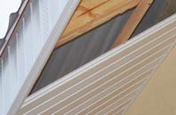 rated Thorpe Row soffit repair companies